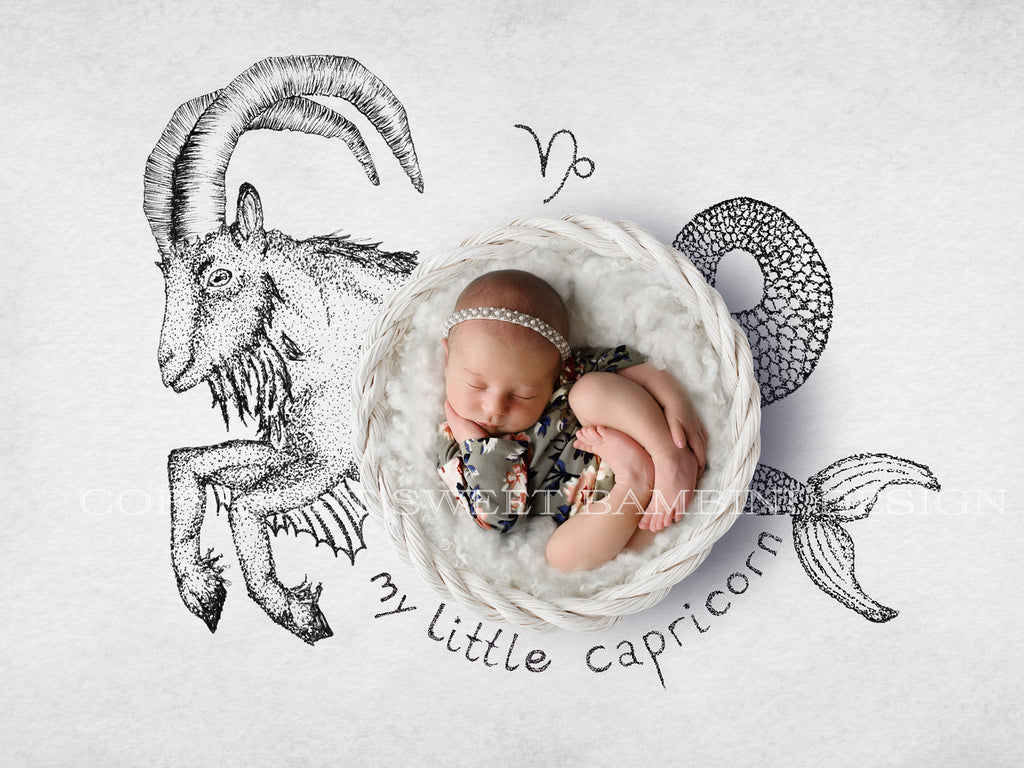 capricorn newborn digital backdrop