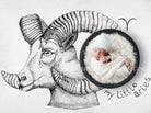 aries newborn digital backdrop