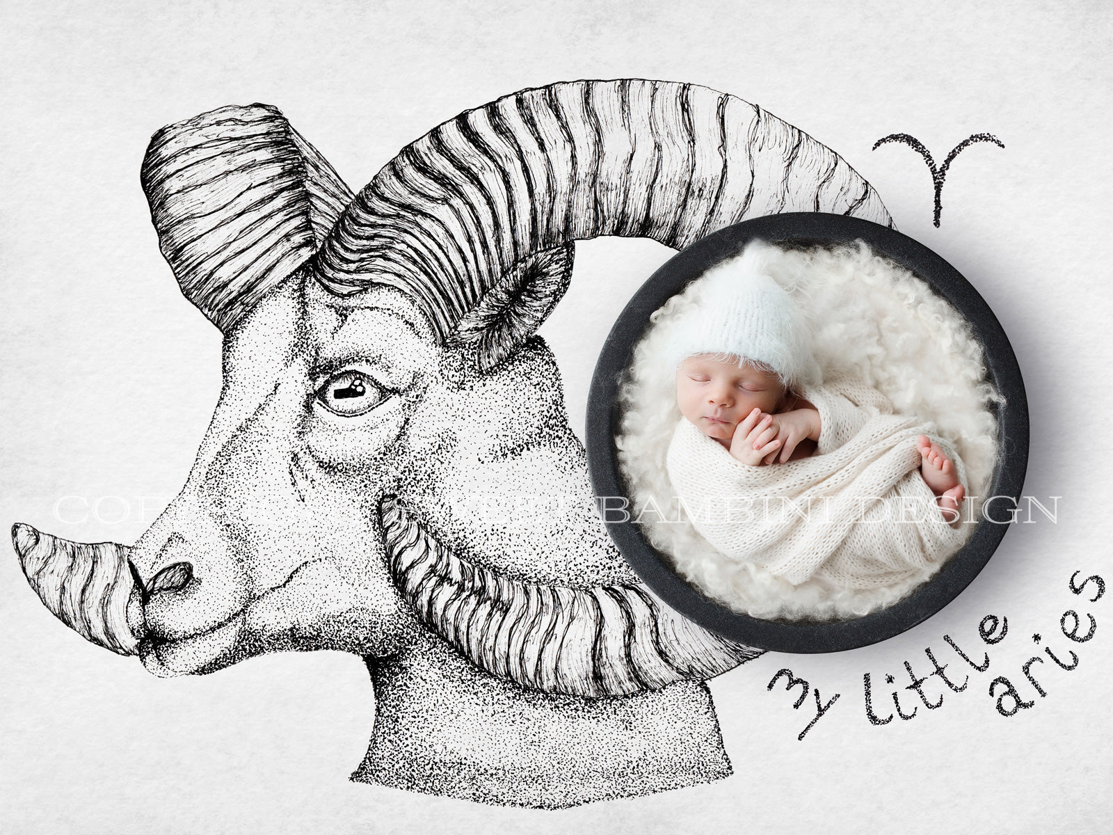aries newborn digital backdrop