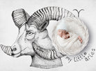 aries newborn digital backdrop