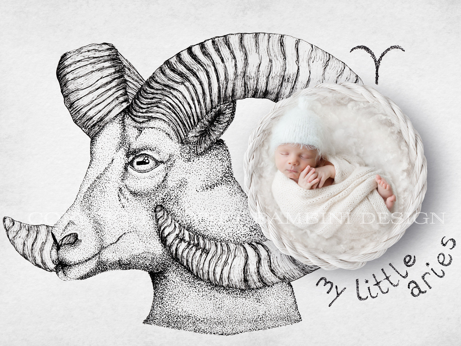 aries newborn digital backdrop